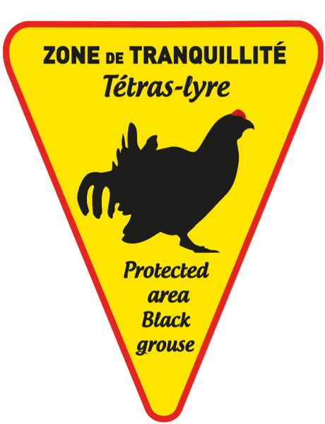 Panneau Tétras Lyre Triangle Dibond 20x25cm TRI-DIB-GALLI3